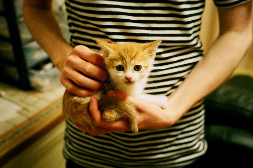 主场不败金身告破！猛龙加时鏖战力克北京，奥运周期关键战现新格局