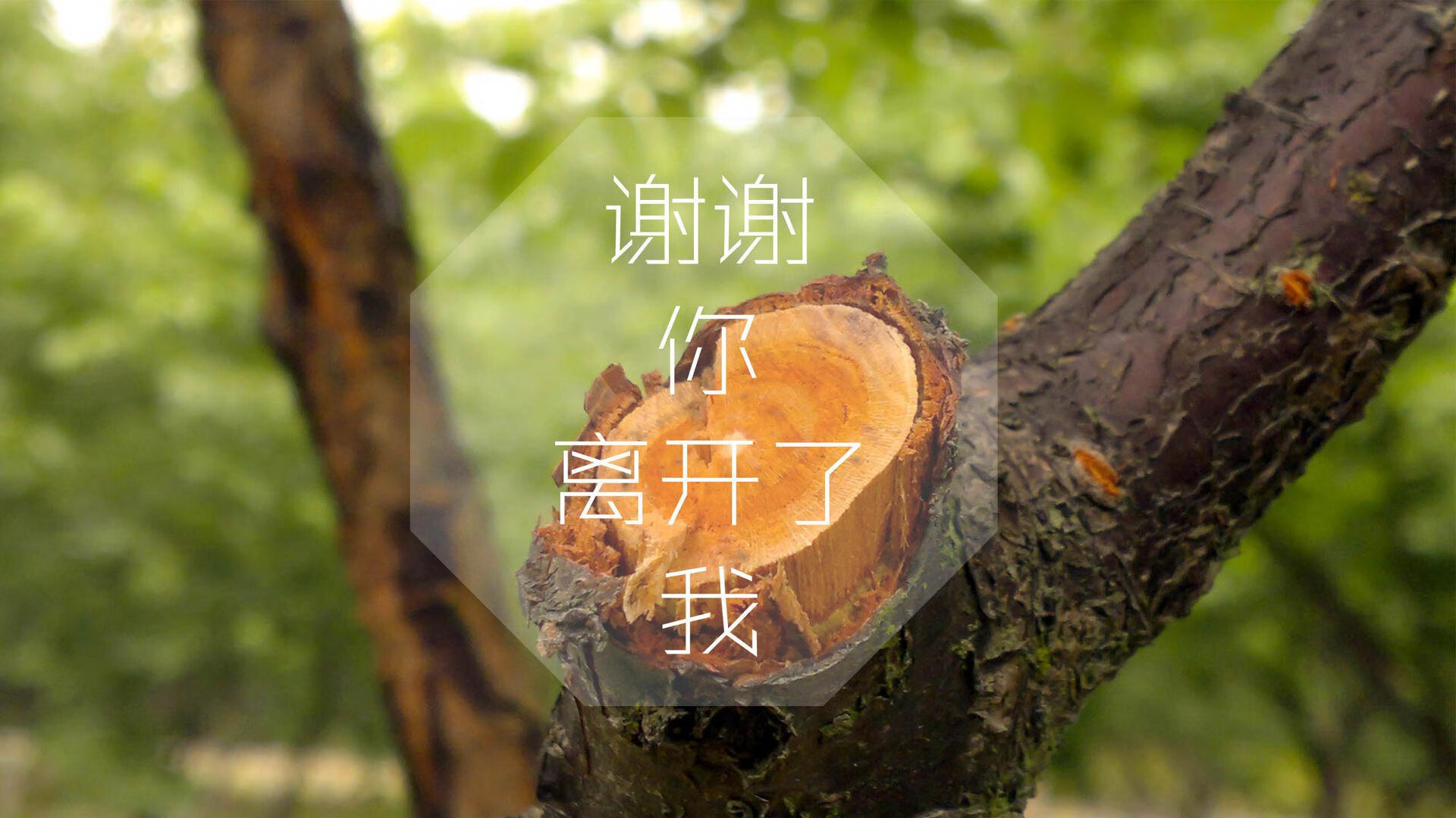 从极寒到热土，努涅斯一锤定音，加拿大足球的冰雪奇缘