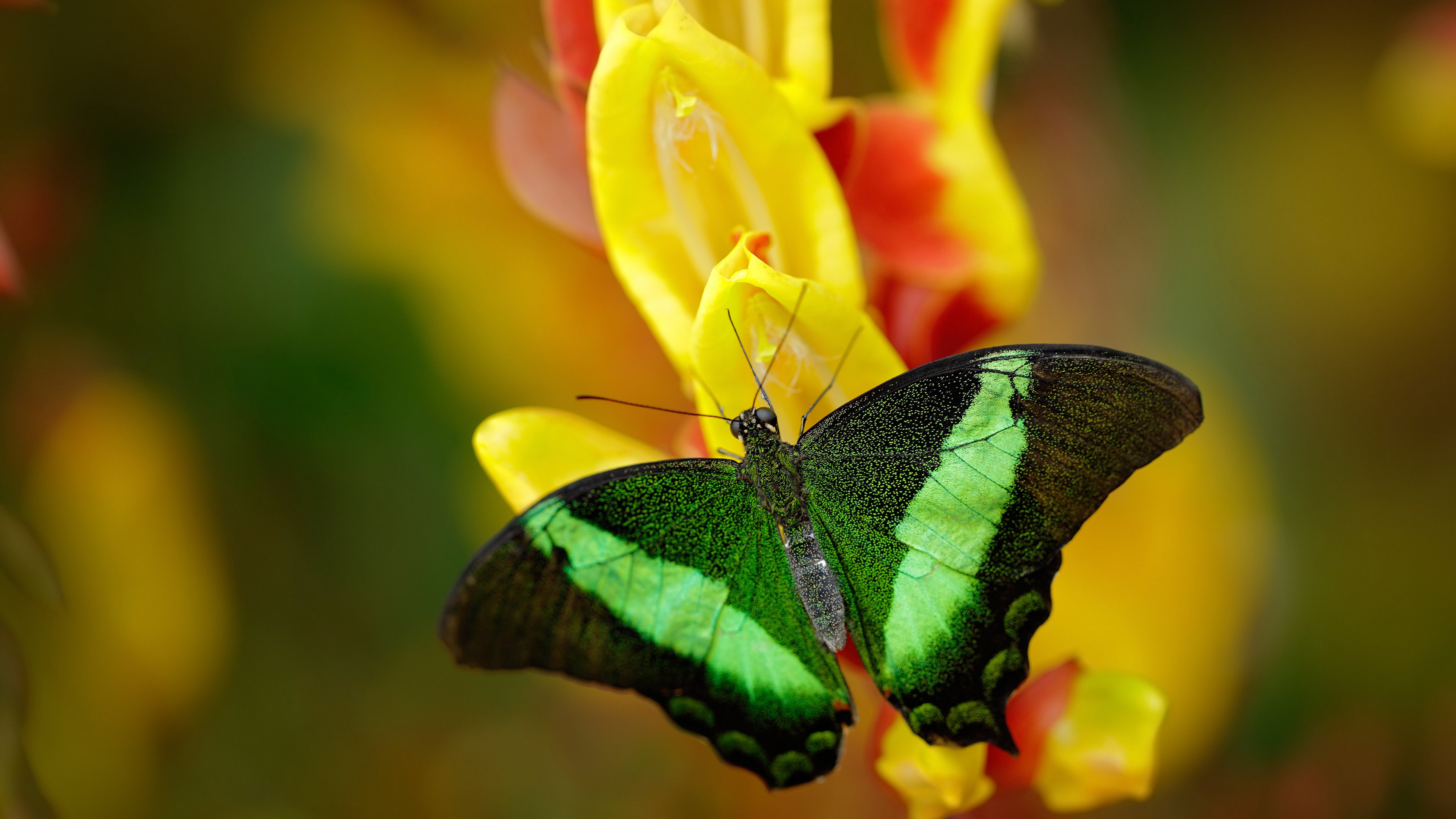 看到这个关键词组合，我判断这可能是一场充满故事性的比赛—一支球队通过加时鏖战取胜，而对方阵营中却有一位球员保持了极高水准的稳定发挥