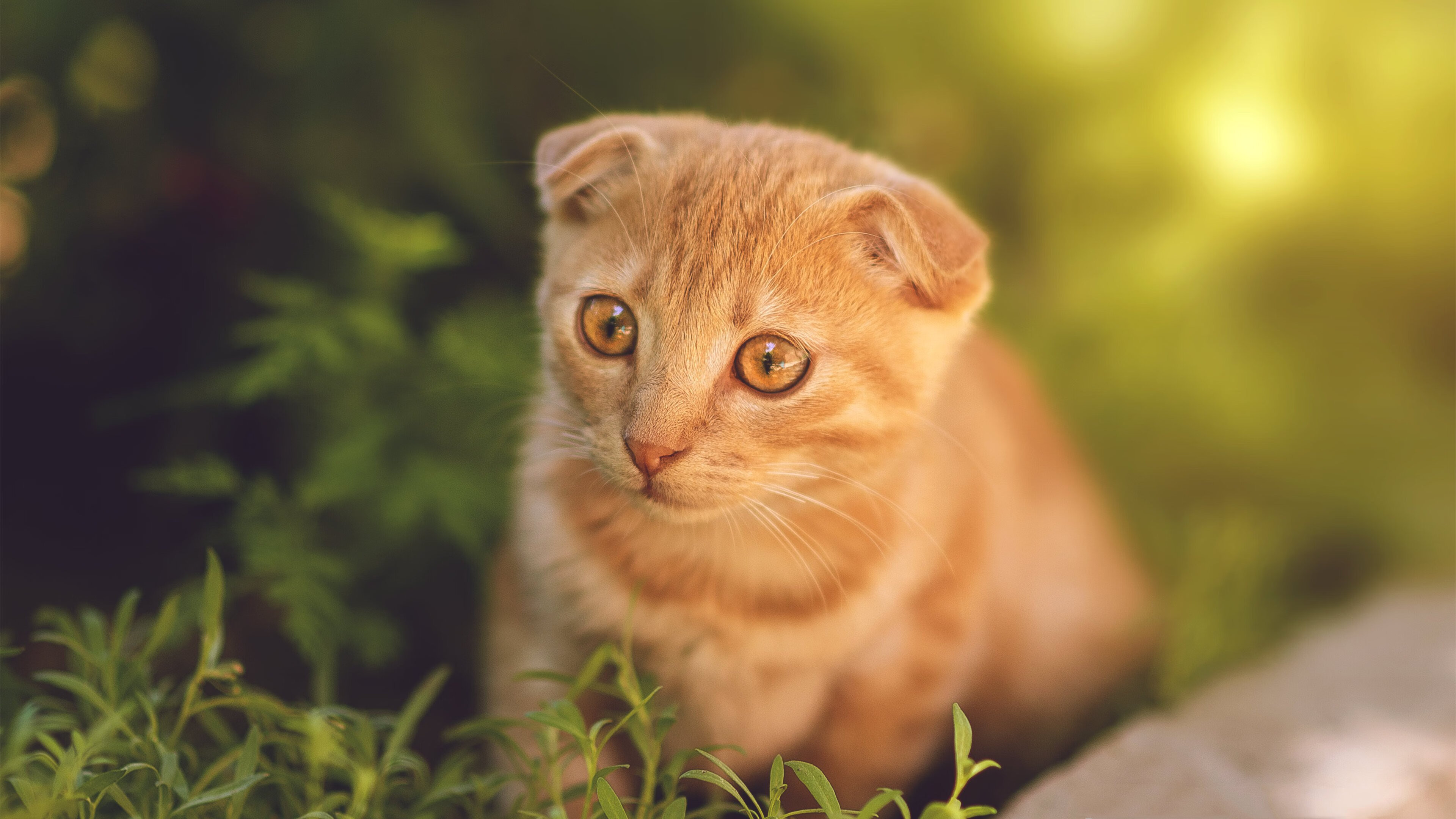 数据之王巴雷拉独造三球,亚特兰大3-0沙特展现恐怖效率