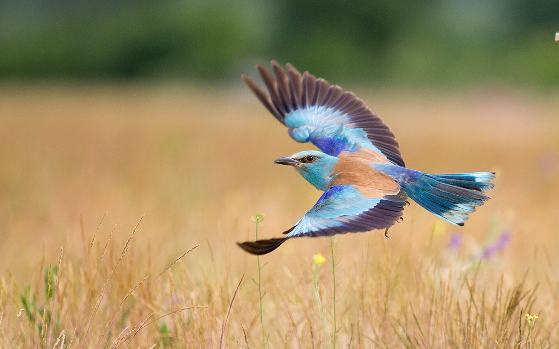 跨界巅峰，利物浦与哥伦比亚的史诗对决，萨内独舞成永恒焦点