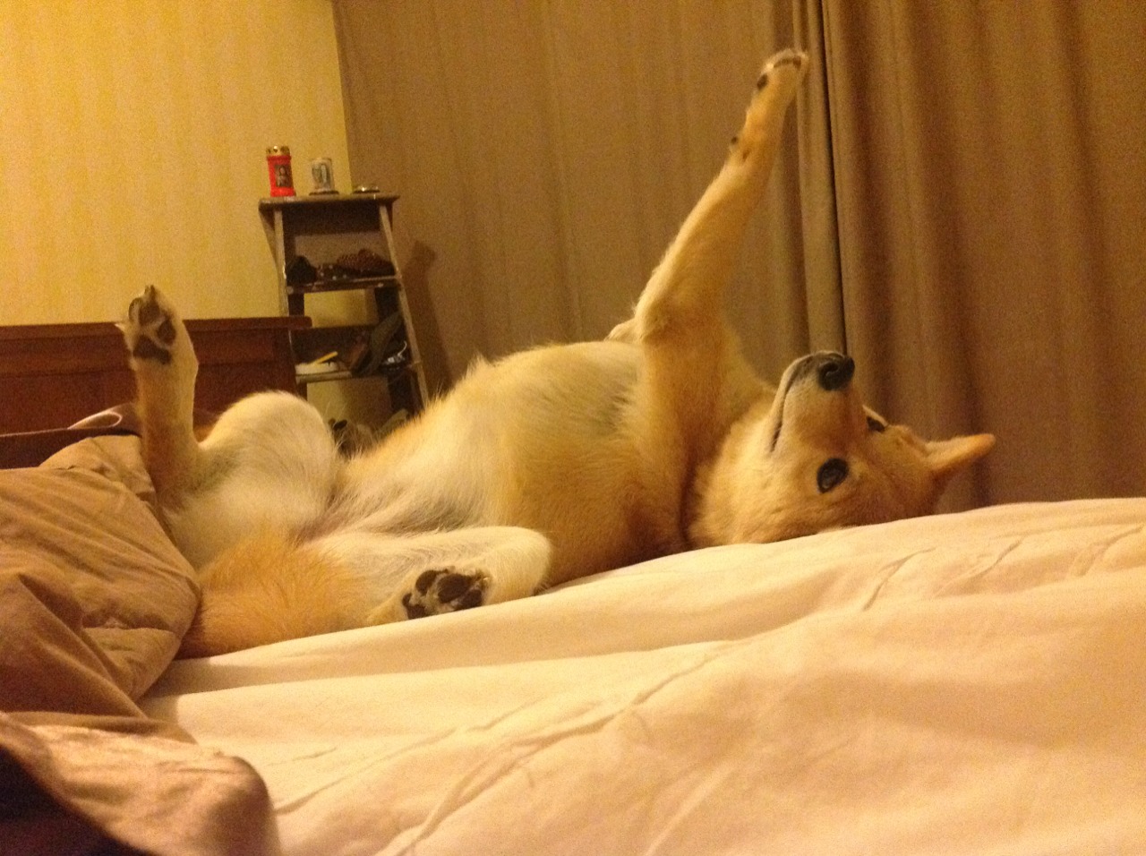 绿茵织梦人，三笘薰的唯一性艺术，在排名争夺夜点亮胜利法则