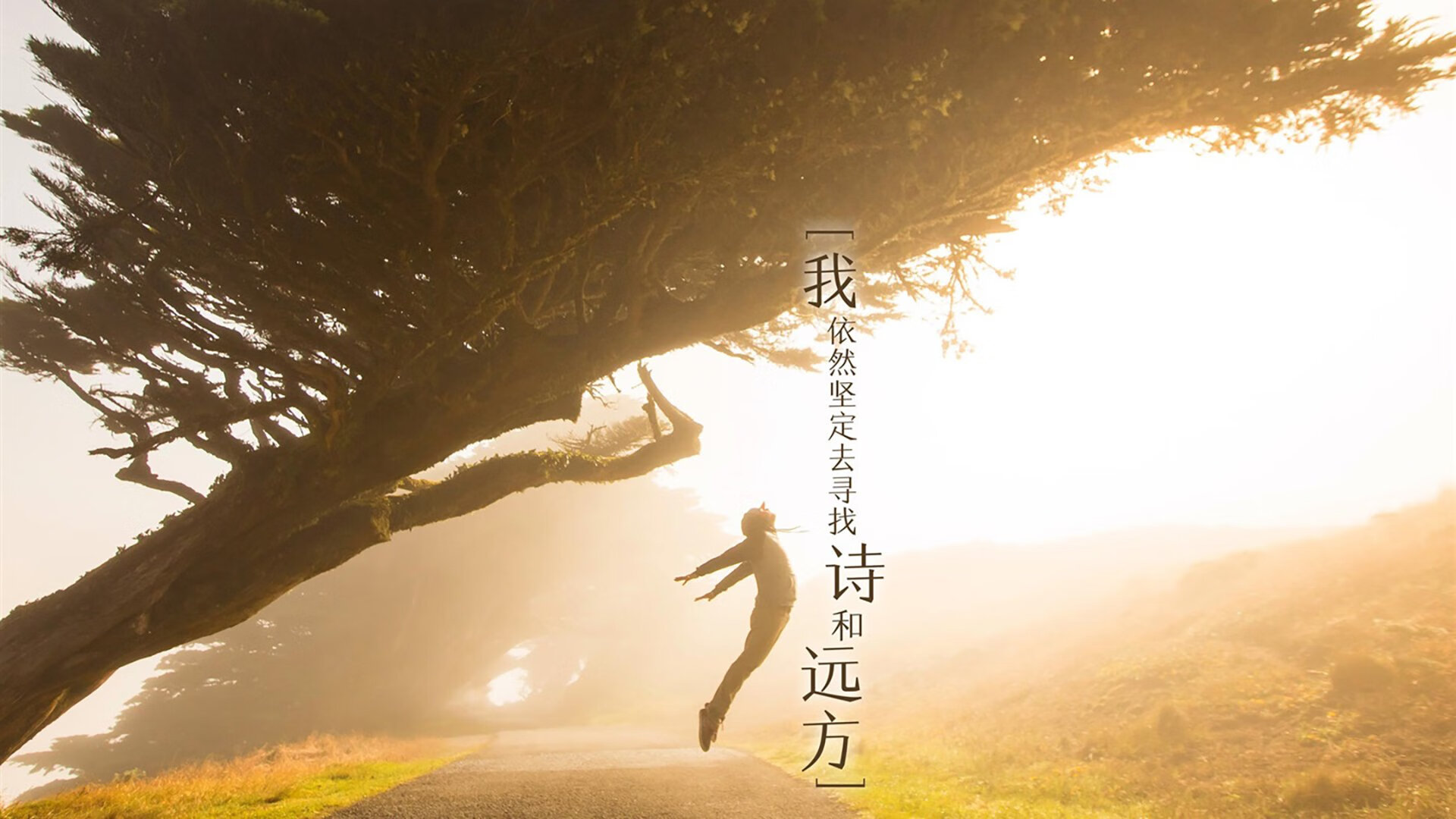 开云sport-油门与脚尖，一场午夜竞技场的双重心跳