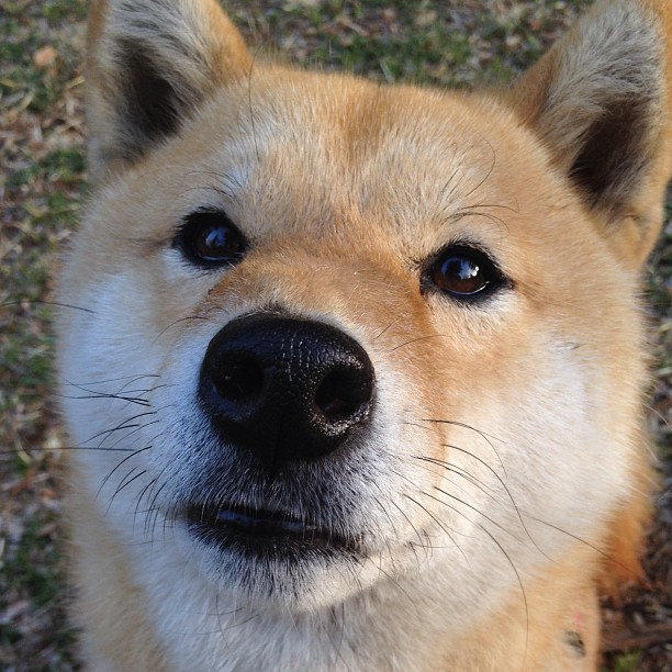 封王！萨拉赫用一场最后的疯狂将冠军悬念钉入历史