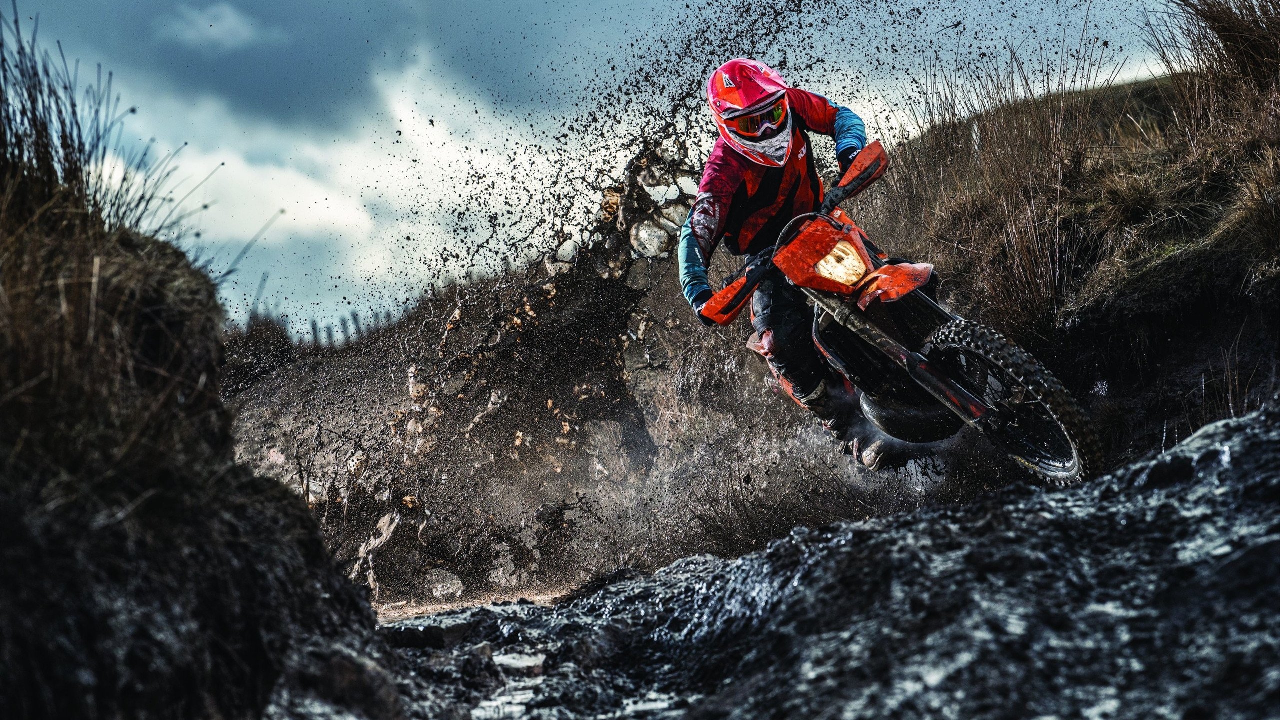 宿命对决，当森林狼启示厄瓜多尔