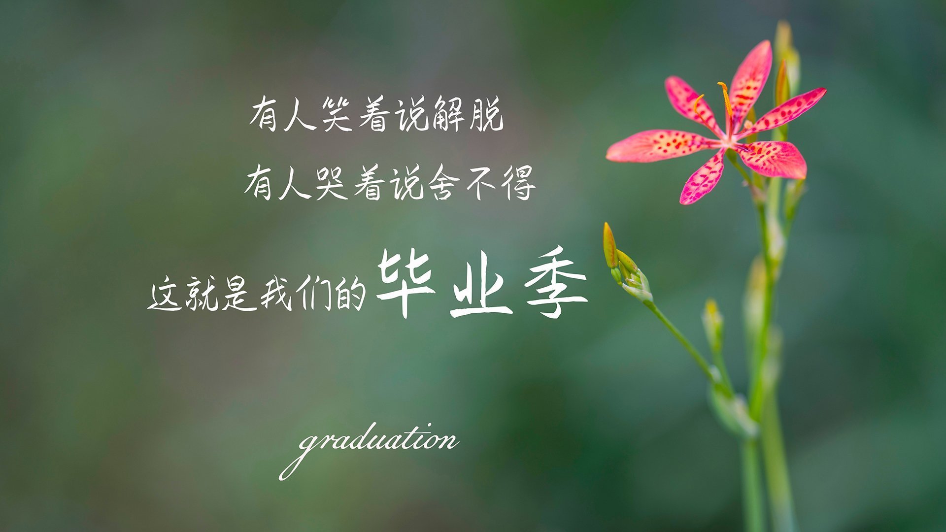 44分钟璀璨，1秒封喉，当布克的史诗之夜撞上火箭的上帝一秒