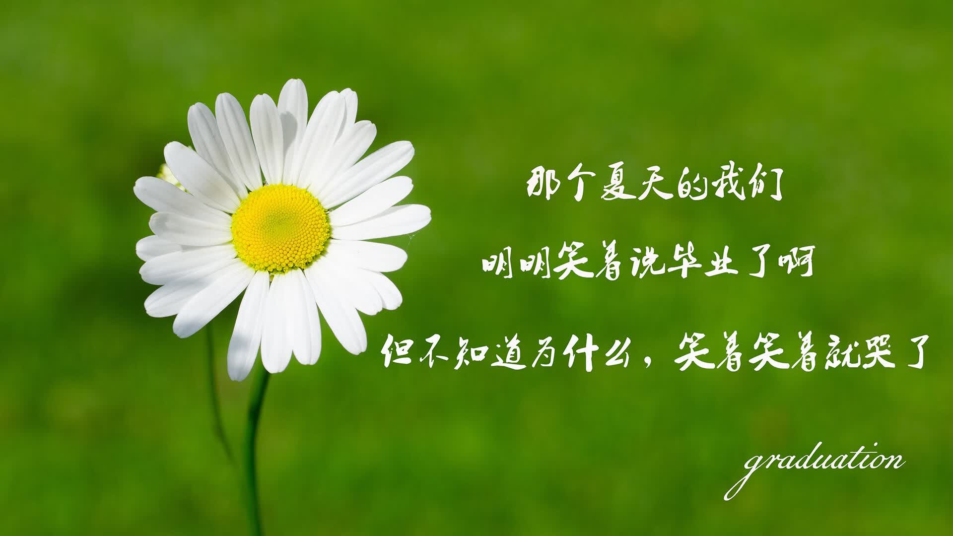 安第斯铁幕下的绝命独舞，智利横扫秘鲁，托纳利一剑封喉定乾坤