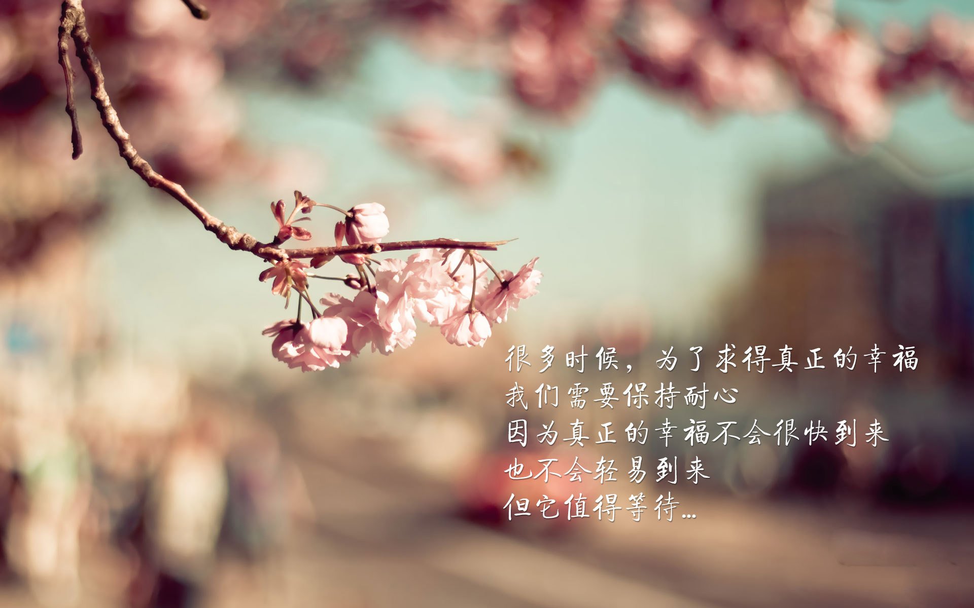 碾压下的血路，当西班牙的优雅撞上伊拉克的钢铁，坎塞洛用硬核表现定义了2026的唯一性