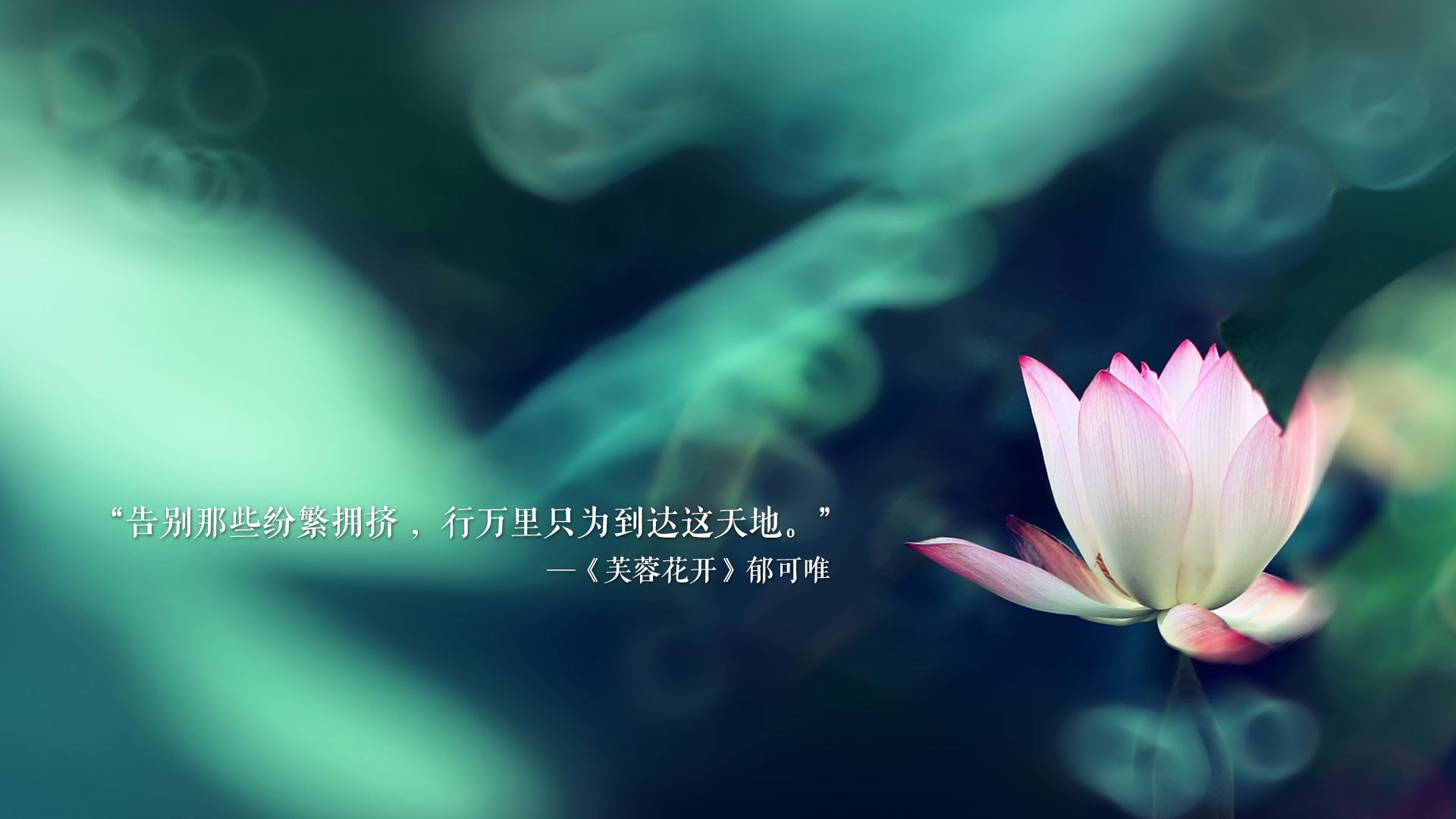 冰岛,不止于冰与火,当维京战吼在2026遭遇奥斯梅恩的致命反击