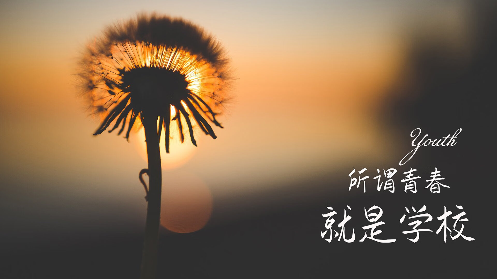2026世界杯生死夜,C罗绝唱续写传奇,斯洛伐克屠戮瑞士掀翻格局