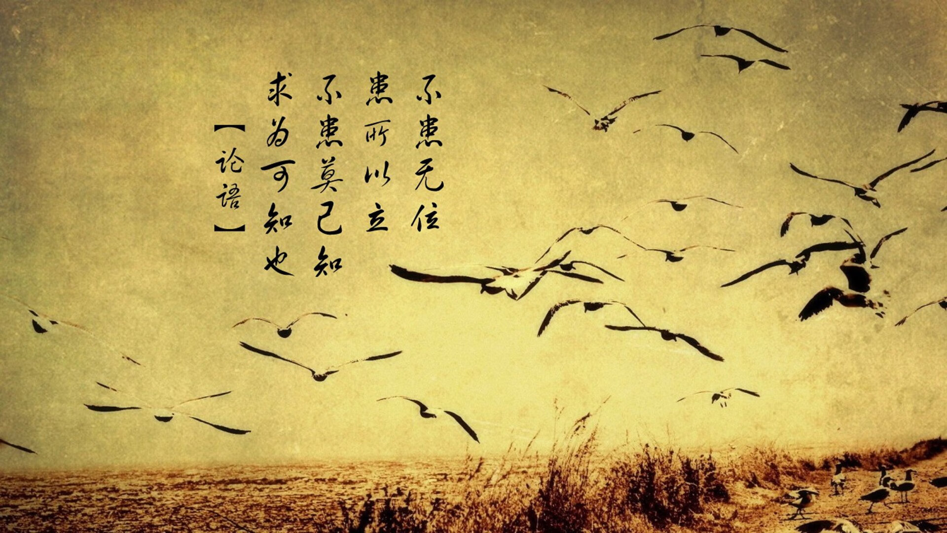 开云体育官网-绝杀之光，范戴克天神下凡，秘鲁临场妙手降服泰国铁象